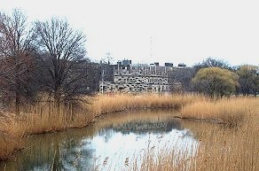 Fire Department among the phragmites