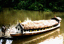 Snapshot of a thatched launch in the Amazon