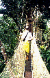 Snapshot of Herman on the canopy walkway.
