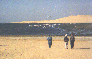 [Snapshot of flamingos against blue water and sky and yellow sand]
