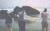 [Snapshot of 3 birders on a boulder-strewn beach]