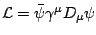 $\mathcal{L}=\bar{\psi }\gamma ^{\mu }D_{\mu }\psi $