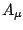 $A_{\mu }$
